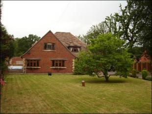 Rear View