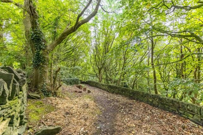 Woodland