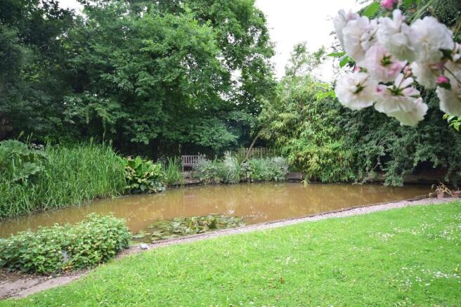 Natural Pond