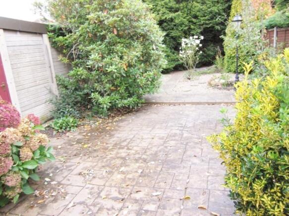 Photo 11