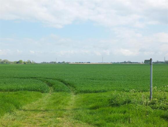 Field Views.jpg