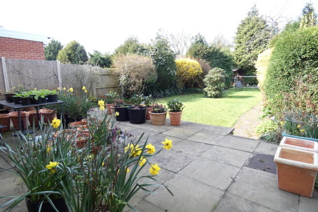 Photo 15