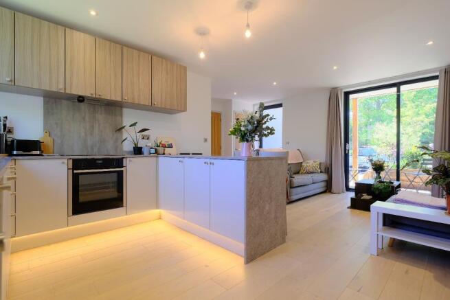 Kitchen with living area