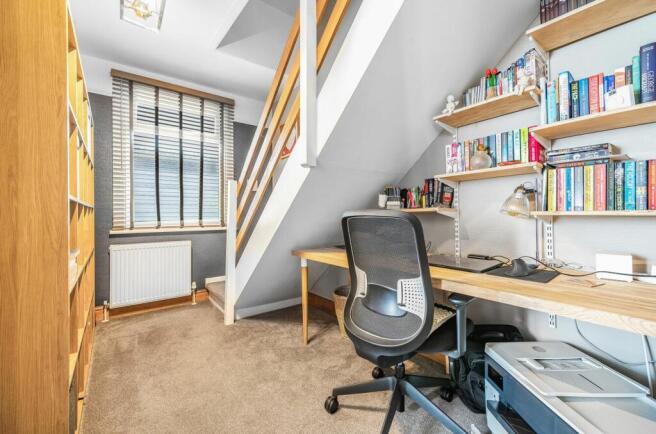 Study Area