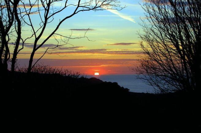 Sunset View