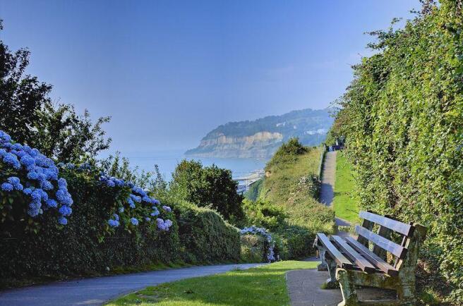 Cliff Path
