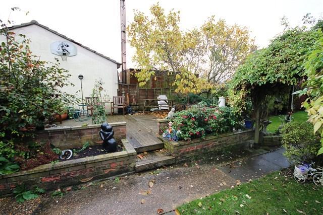 Back garden