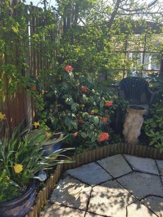 Photo 21