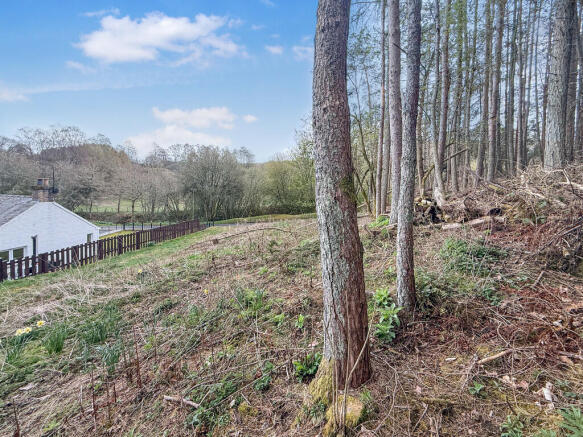 82219_20250415112...