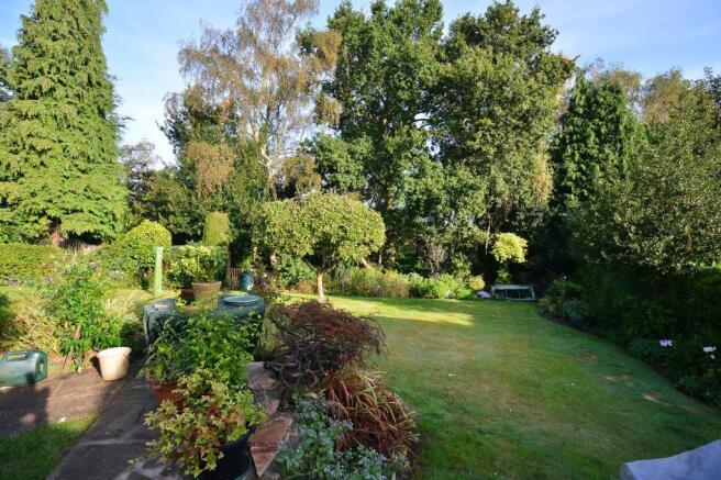 Garden at Back