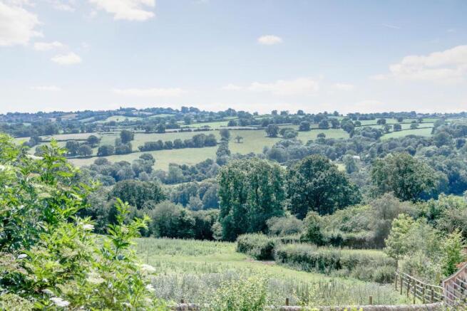 Countryside Views