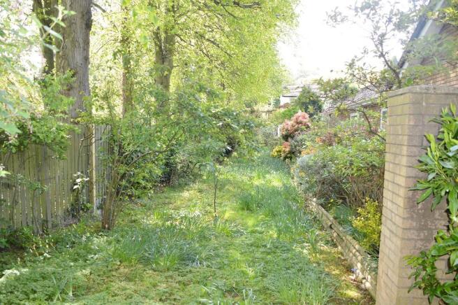 Wild garden area