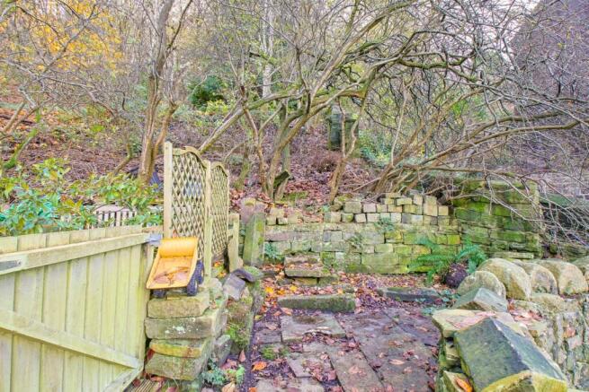 Garden Area