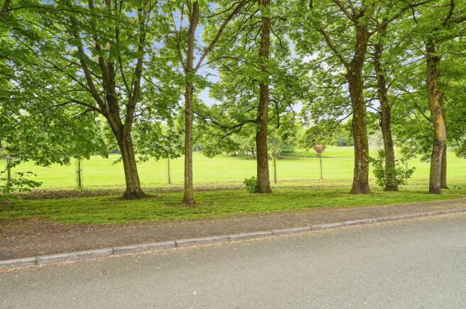 Nearby Park