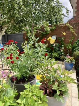 Photo 20