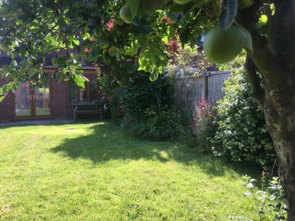 Photo 16