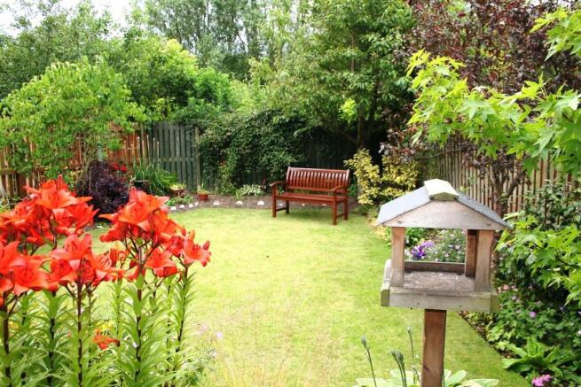 garden 1