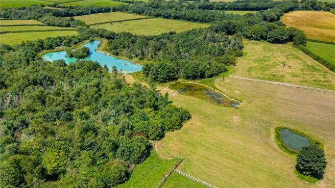 Woods and Lake