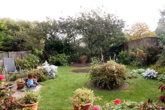 Garden 2.JPG