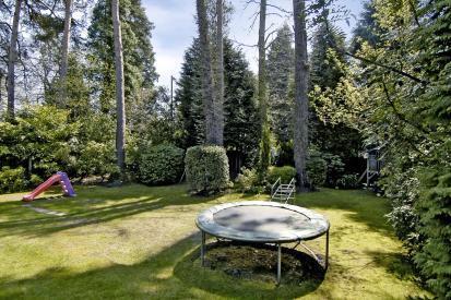 Rear garden
