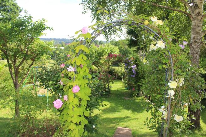 garden