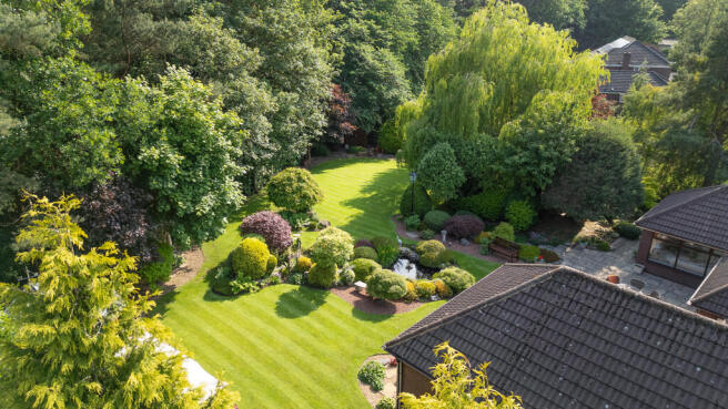 DJI_0381