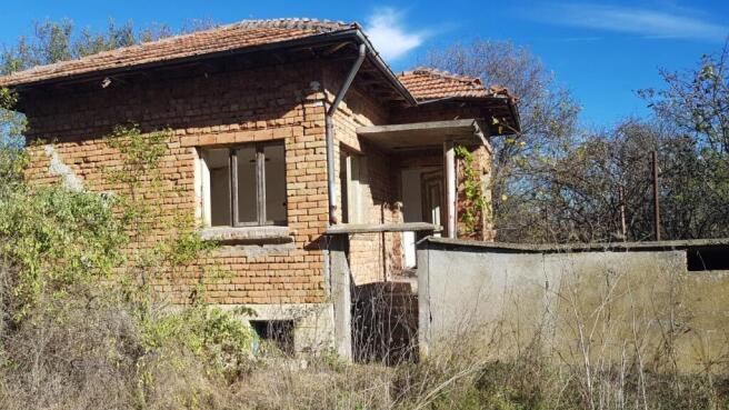 View of the brick house exterior showing tiled roof and small porch surrounded by overgrown vegetation