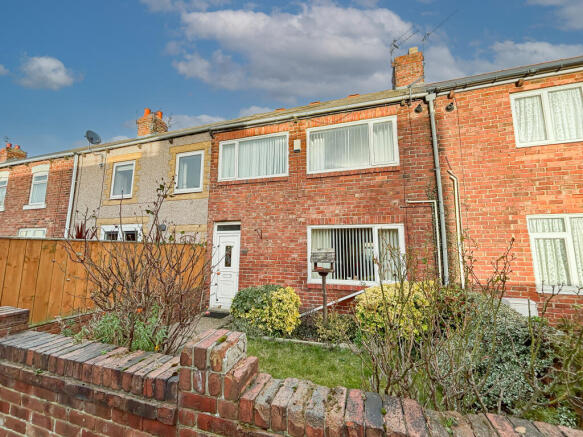 IMG 8309 T202602181705.jpg