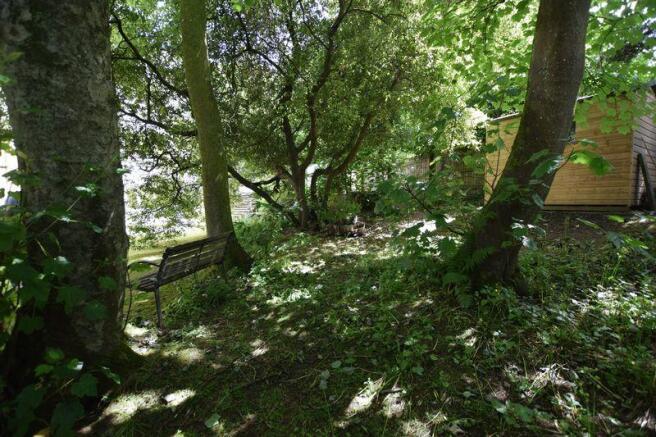 Wooded garden