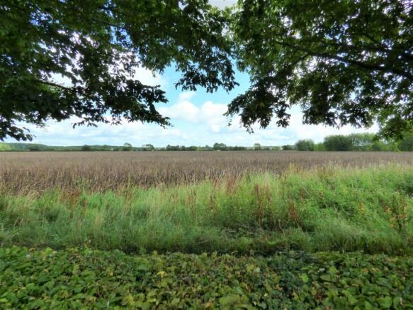 views over fields