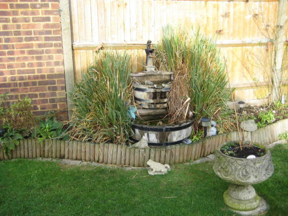 Pond area in garden