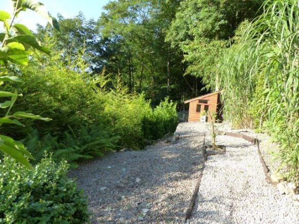 Garden In Summer
