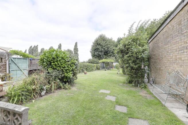 garden 5.jpg