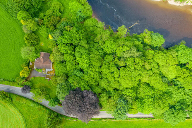 Aerial Shot