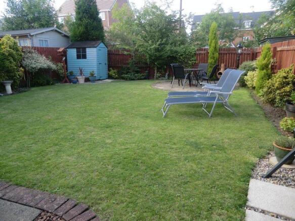 Photo 11