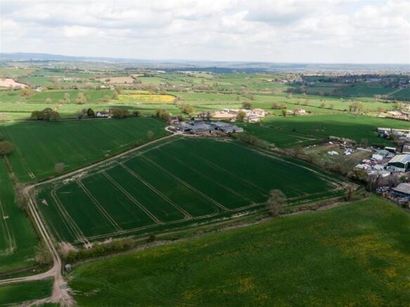 Sprimg Farm-3.jpg