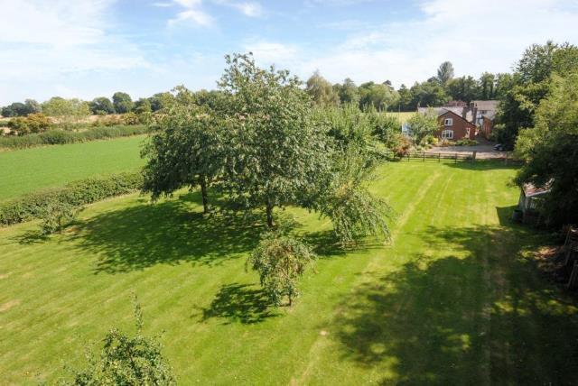 Orchard