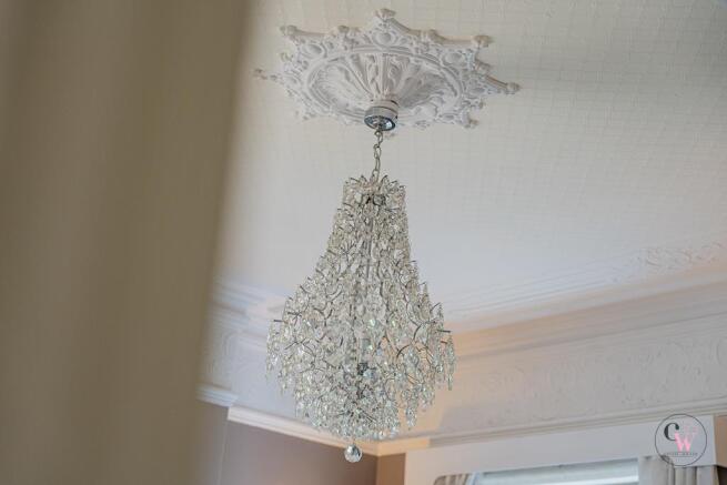 DSC07028.jpg