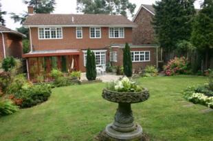 Rear Of Property