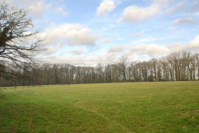 Pasture land