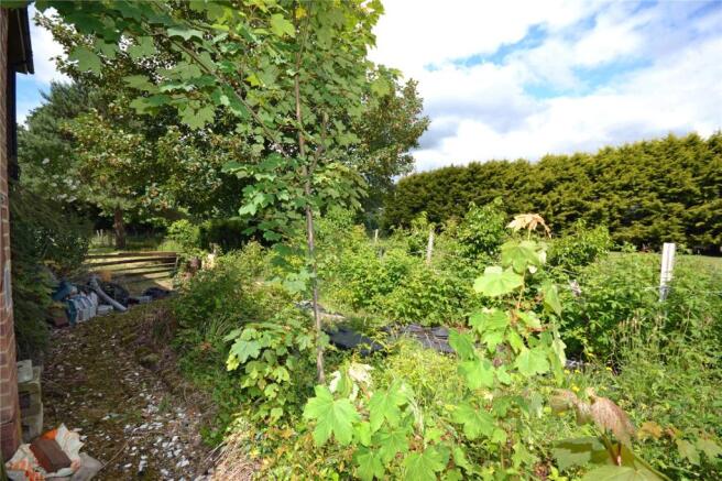 Side Garden