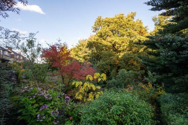 Array of Planting