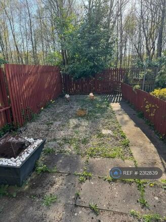 Back Garden