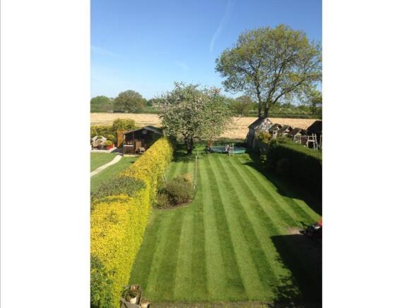 Image 15