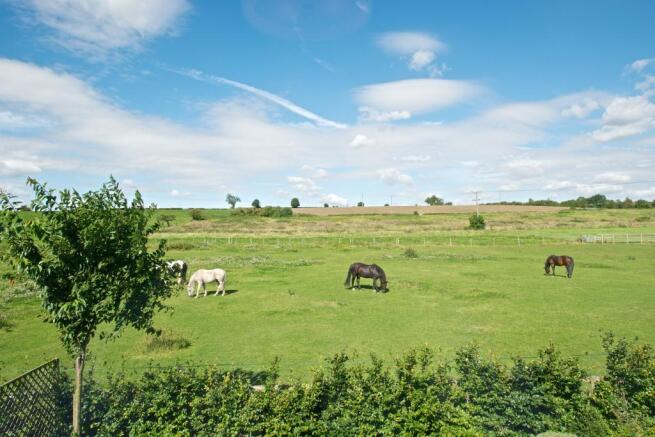 View Over Paddock