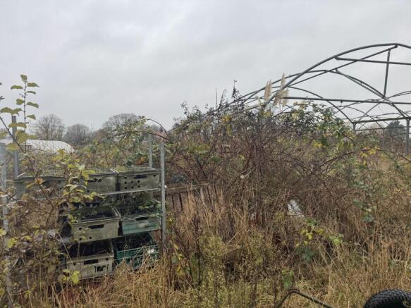 3 Medium T202512051317.jpg