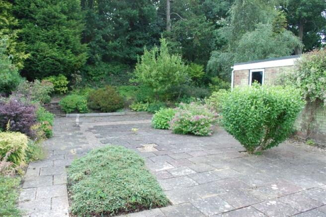 Photo 10
