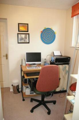 STUDY AREA