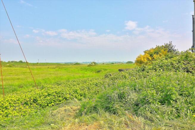 Backs open land