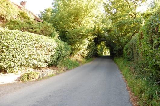 Rural lane outside